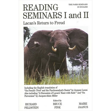Reading Seminars I and II: Lacan's Return to Freud