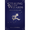 Stealing from Wizards: Volume 2: Burglary
