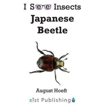 Japanese Beetle