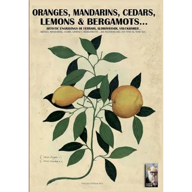 Oranges, mandarins, cedars, lemons & bergamots..: Artistic engravings of Ferrari, Aldrovrandi, Volckhamer...