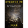 Fossil Consumerism: Energy, Ecology and Everyday Life in the Early Modern Low Countries