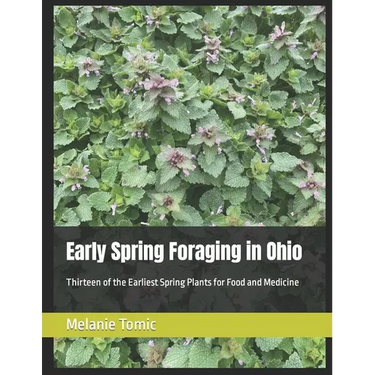 Early Spring Foraging in Ohio: Thirteen of the Earliest Spring Plants for Food and Medicine