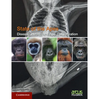Disease, Health and Ape Conservation