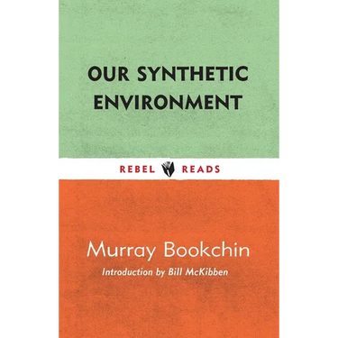 Our Synthetic Environment