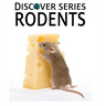 Rodents