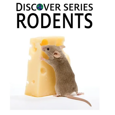 Rodents