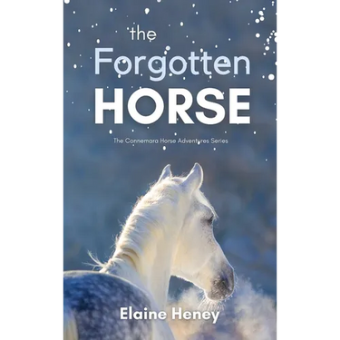The Forgotten Horse - Book 1 in the Connemara Horse Adventure Series for Kids The Perfect Gift for Children