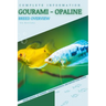 Gourami - Opaline: From Novice to Expert. Comprehensive Aquarium Fish Guide