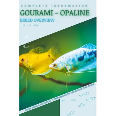 Gourami - Opaline: From Novice to Expert. Comprehensive Aquarium Fish Guide