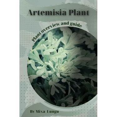 Artemisia Plant: Plant overview and guide