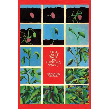 You Can't Own the Fucking Stars: Collected Writings on Trauma, Addiction, Recovery, and Transformation