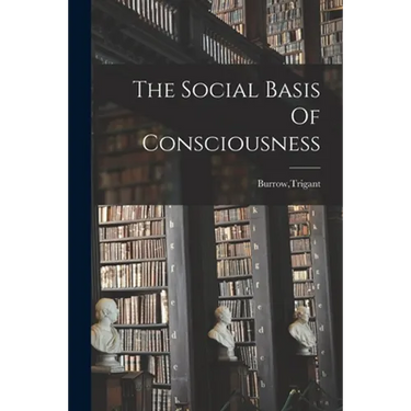 The Social Basis Of Consciousness