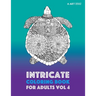Intricate Coloring Book For Adults Vol 4