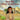Help Me I Want To See Jesus