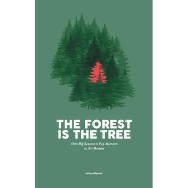 The Forest is the Tree: Three Big Reasons to Pay Attention to this Moment