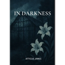 In Darkness