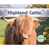 Highland Cattle