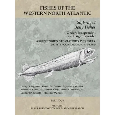 Soft-rayed Bony Fishes: Orders Isospondyli and Giganturoidei: Part 4