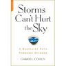 The Storms Can't Hurt the Sky: The Buddhist Path through Divorce