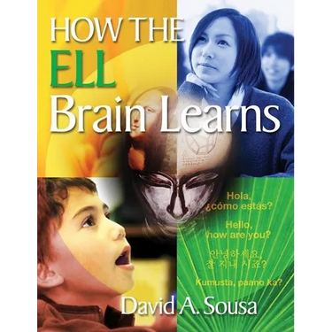 How the Ell Brain Learns