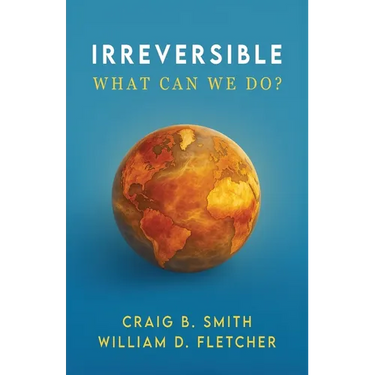 Irreversible: What Can We Do?