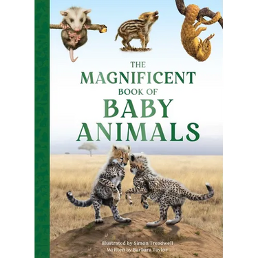 The Magnificent Book of Baby Animals