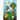 The Young Garden King