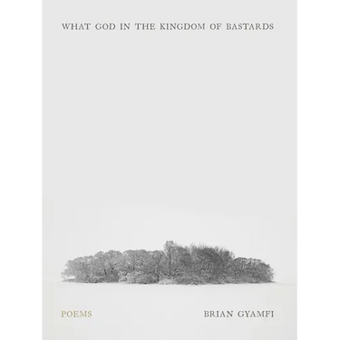 What God in the Kingdom of Bastards: Poems