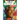 Nelson Mandela: No Easy Walk to Freedom