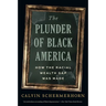 The Plunder of Black America: How the Racial Wealth Gap Was Made
