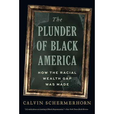 The Plunder of Black America: How the Racial Wealth Gap Was Made