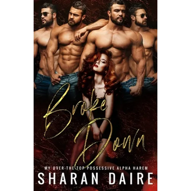 Broke Down: My Over the Top Possessive Alpha Harem