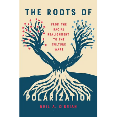 The Roots of Polarization: From the Racial Realignment to the Culture Wars