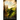 The Tower of Venass