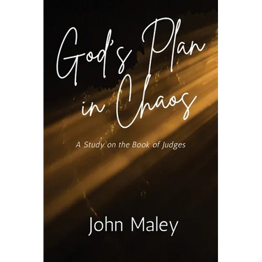 God's Plan in Chaos