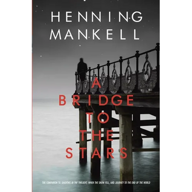 A Bridge to the Stars