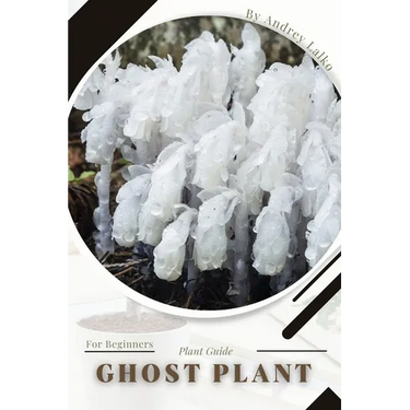 Ghost Plant: Plant Guide