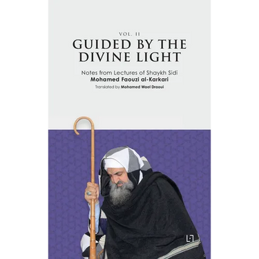 Guided By The Divine Light (Vol. II)