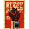 Mainstreaming Black Power