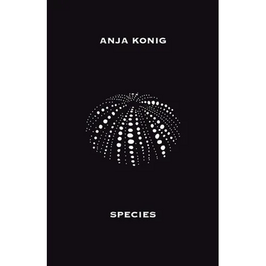 Species