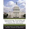 Restructuring, Ownership and Efficiency: The Case of Labor in Electricity Generation