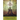 The Trees: Volume 29