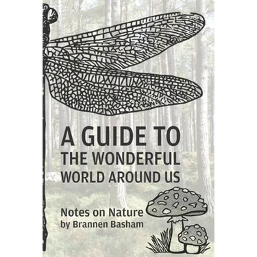 A Guide to the Wonderful World Around Us: Notes on Nature