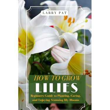 How to Grow Lilies: Beginners Guide to Planting, Caring, and Enjoying Stunning lily Blooms