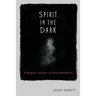 Spirit In The Dark: A Religious History of Racial Aesthetics