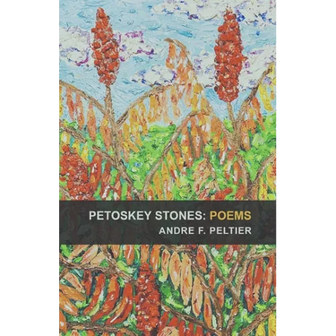 Petoskey Stones: Poems