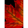 Redirection: The Prime Sonnets and Other Poems