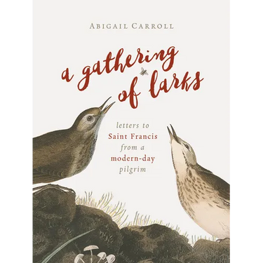 A Gathering of Larks: Letters to Saint Francis from a Modern-Day Pilgrim