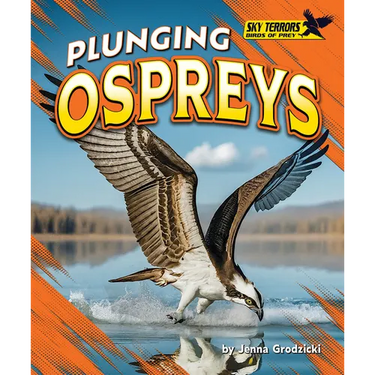 Plunging Ospreys