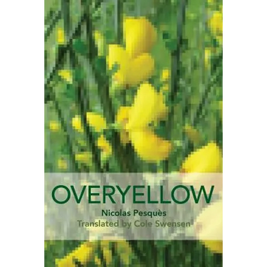 Overyellow: The Poem as Installation Art